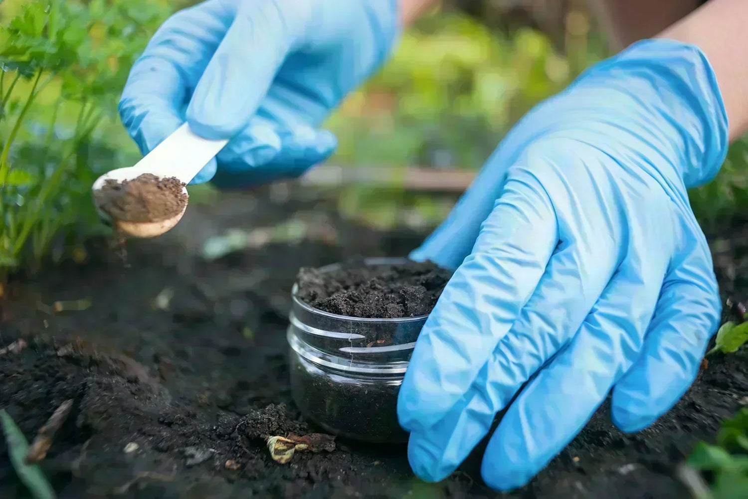 Is Your Soil Healthy? This Simple Jar Test Will Tell You!