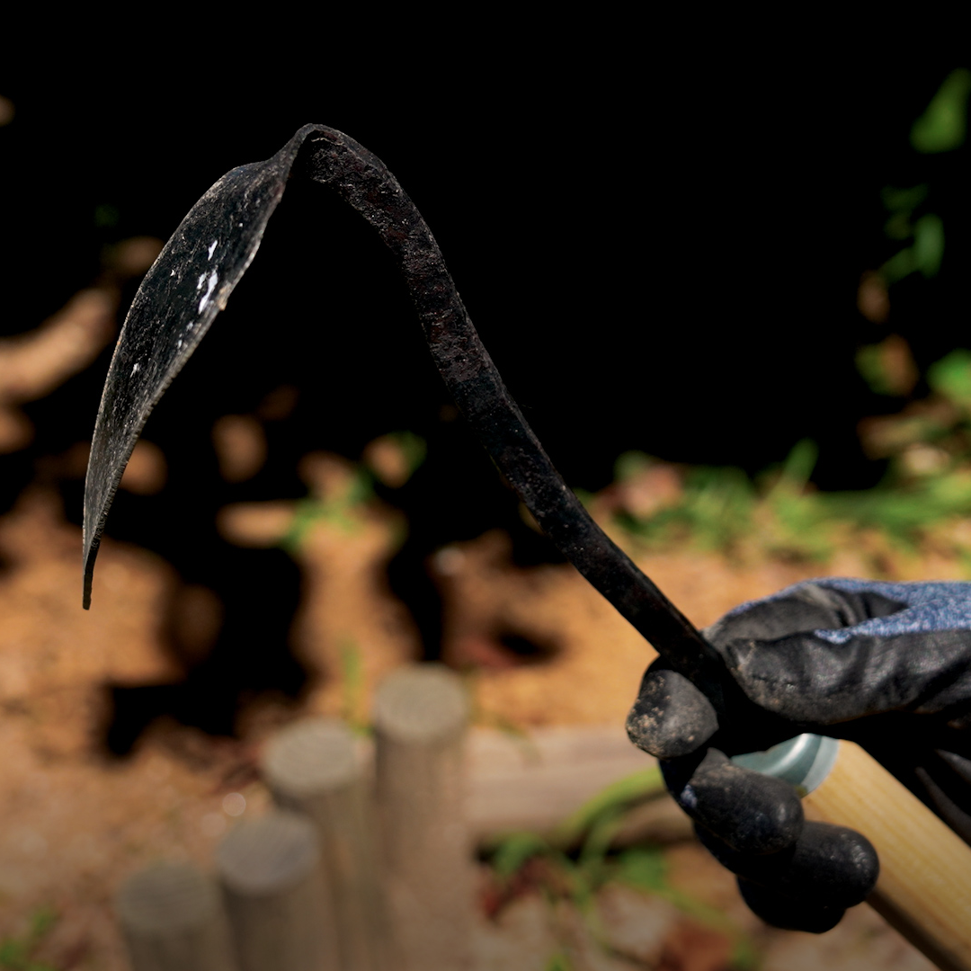 Hand holding a black homi tool with a blurred garden background