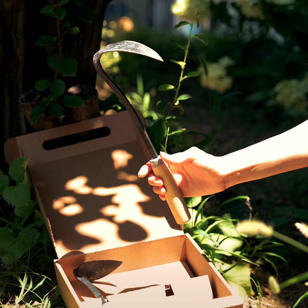Gardening tools in an open box with a hand holding a tool outdoors.