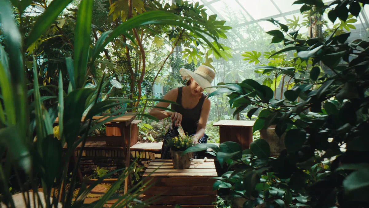 How Compost Benefits Plants