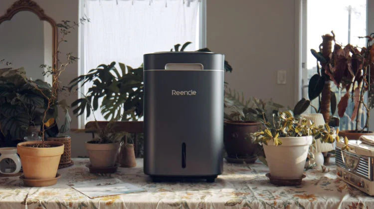 Integrating Reencle Compost<br> into Urban Gardening: <br> A Sustainable Solution for City Dwellers