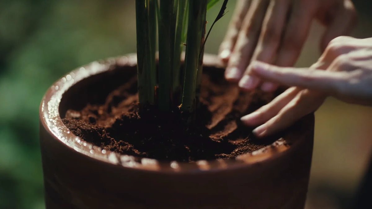 Take your composting routine to the next level