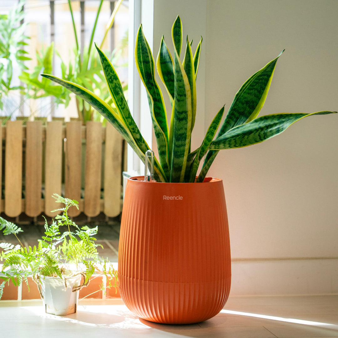Reencle Indoor Planter
