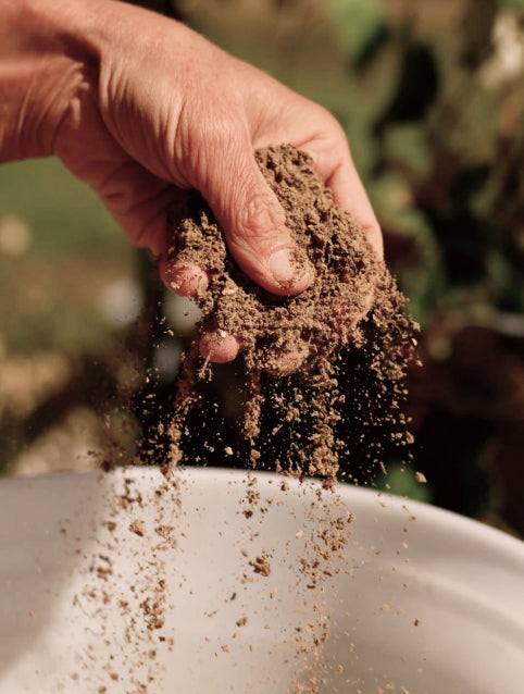 Soil Restored