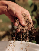 Soil Restored