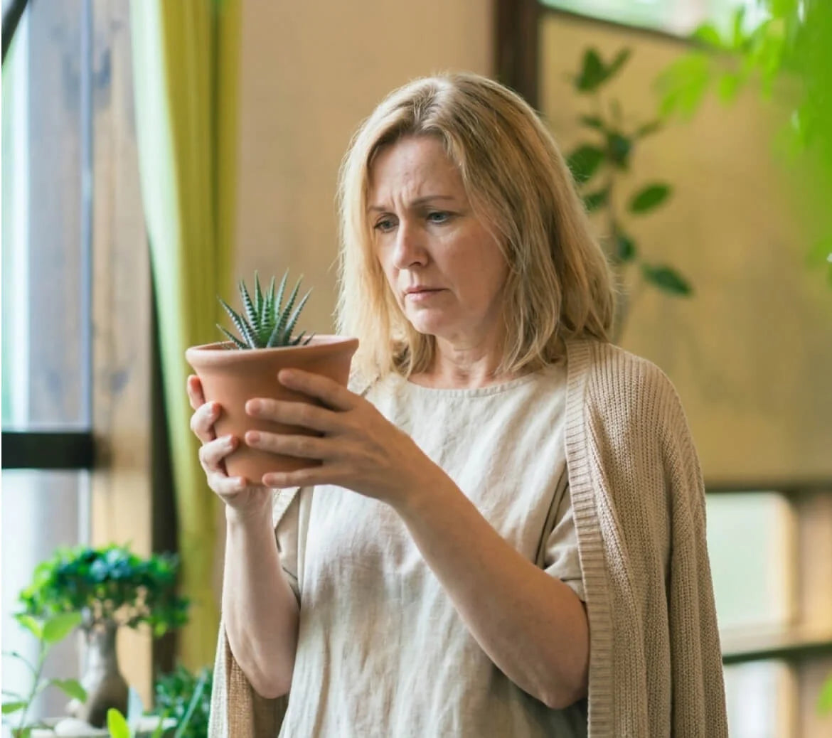 You didn't kill your plant.